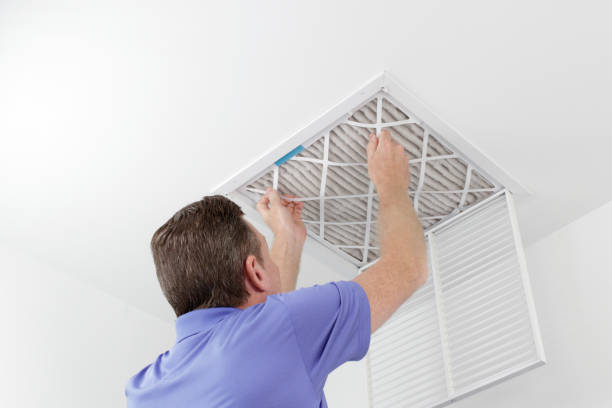 Best Local Air Duct Cleaning Services  in Louisburg, NC